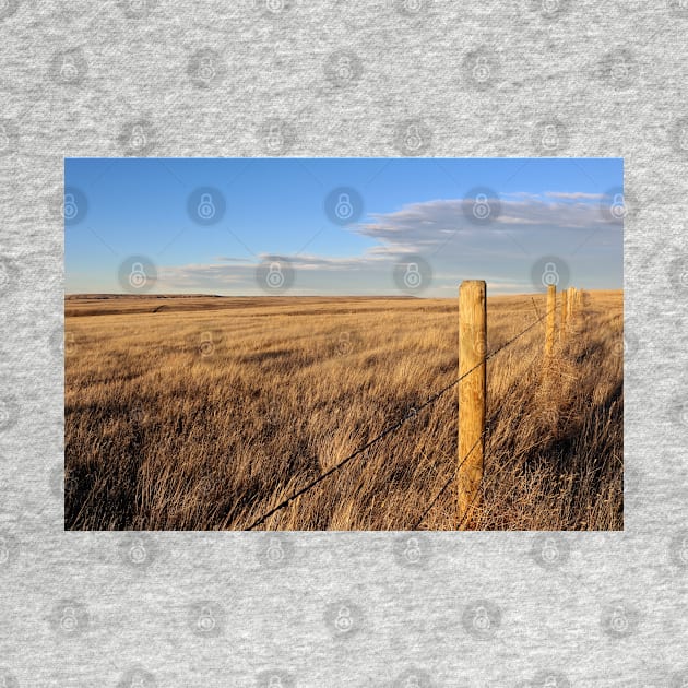 Montana Fence Line by somekindofguru